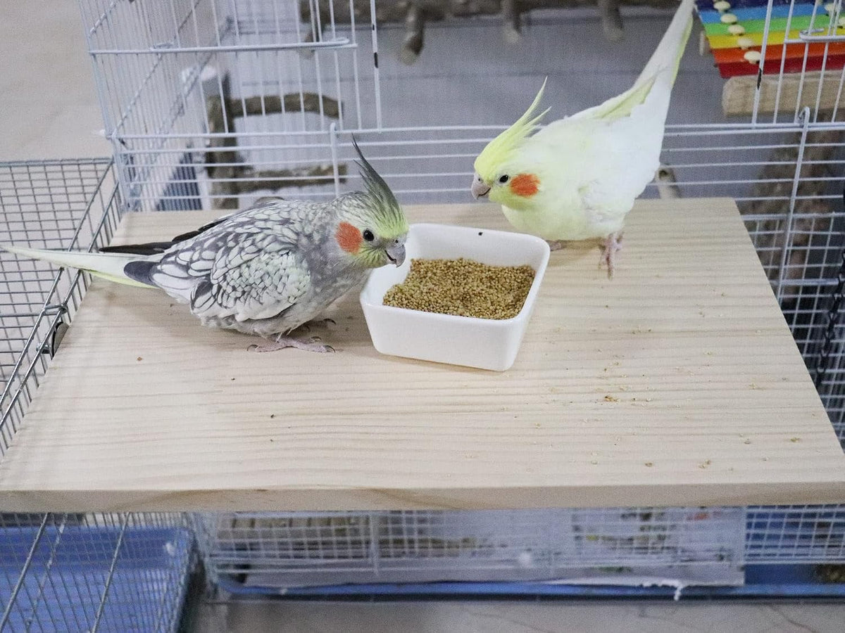 15.7×10.4 Inches Large Bird Perch Stand Platform - 15.7 × 10.4 Inches Natural - image 3