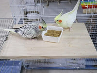 15.7×10.4 Inches Large Bird Perch Stand Platform, Natural Wooden Small Animals Cage Accessories, Rectangle Stand Perch Shelf for Parrot Parakeet Cockatiel Rat Hamster Guinea Pig Conure Chinchillas