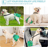 Avont 3 Pack Washable Female Dog Diaper with Suspender - Animal / XL - image 3