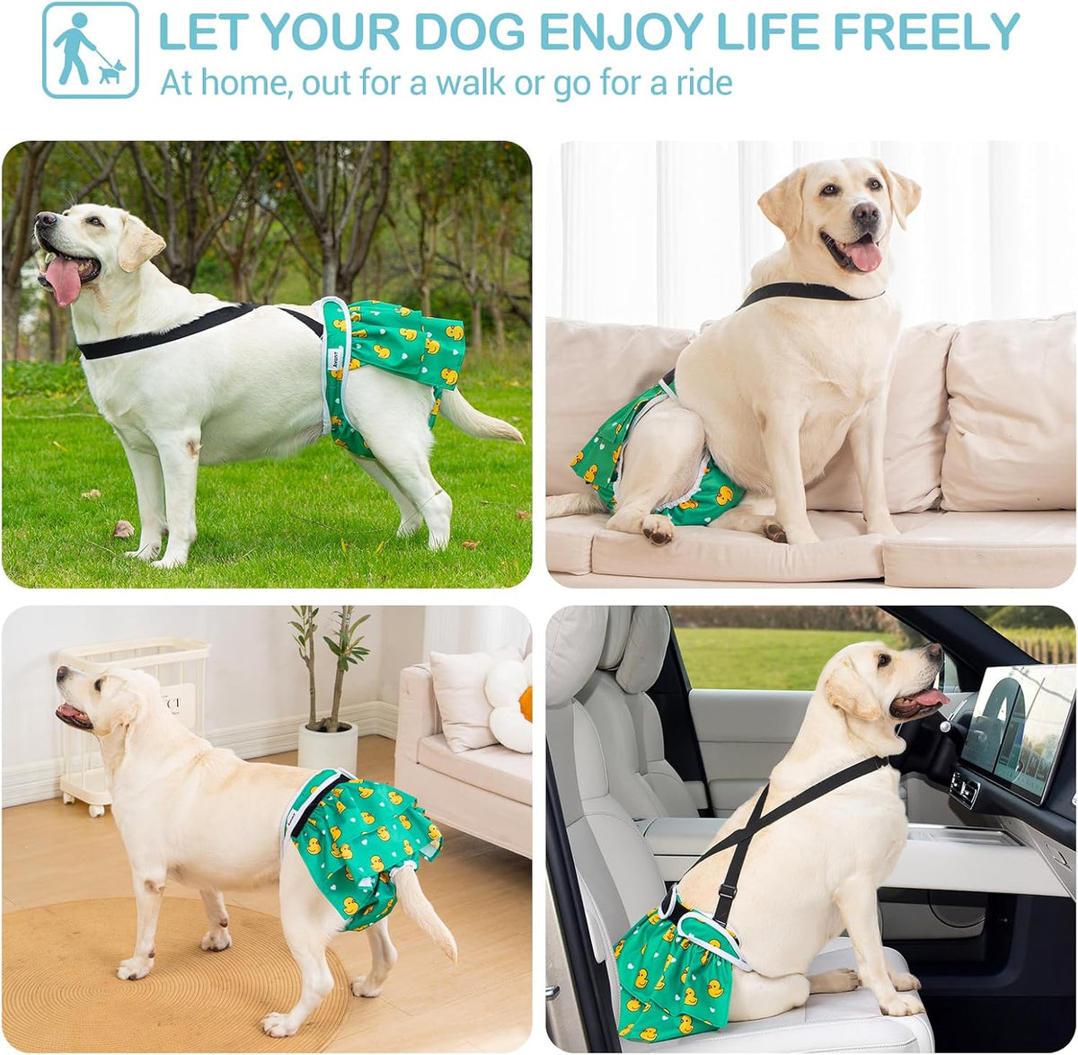Avont 3 Pack Washable Female Dog Diaper with Suspender - Animal / XL - image 3