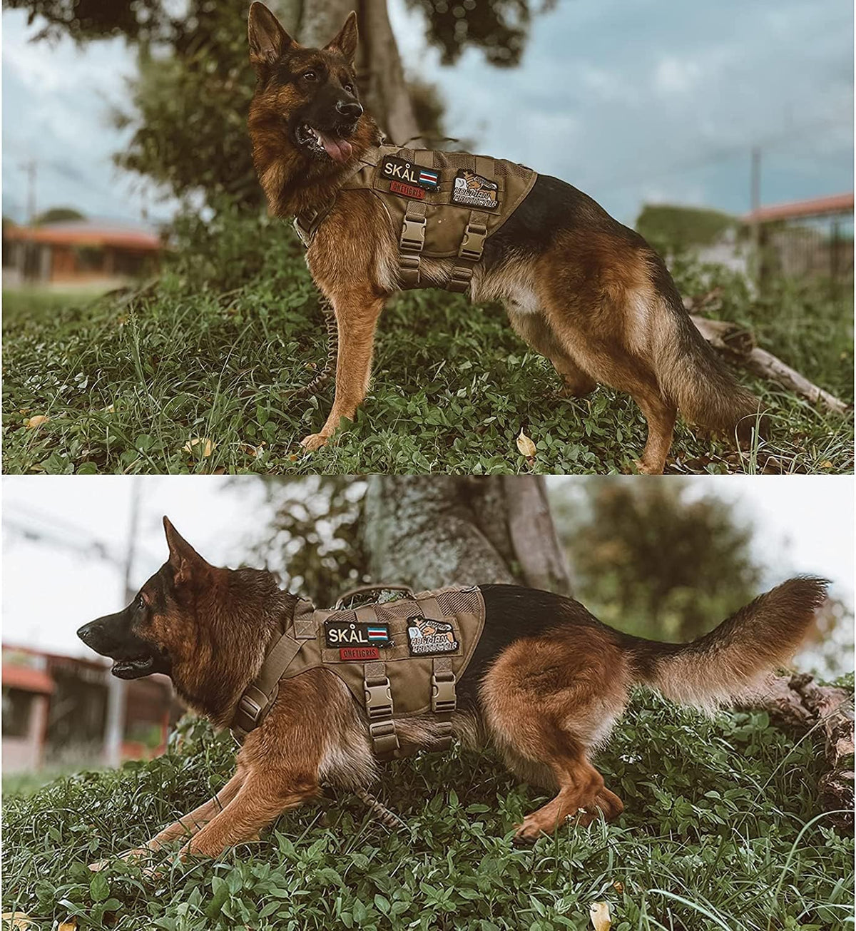 OneTigris No Pull Tactical Dog Harness for Medium Dogs - Brown / L - image 4