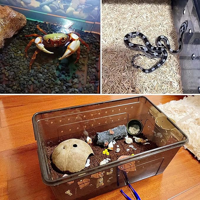 kathson Reptile Feeding Box Portable Small Snake Terrarium Habitat Mini Pet Breeding Cage Hatching Container Transparent Lizard Houses for Tarantula Spider Scorpion Gecko Frog 2PCS (Black)