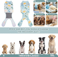 Female Dog Recovery Suit After Spay – 3 Patterns, S–2XL