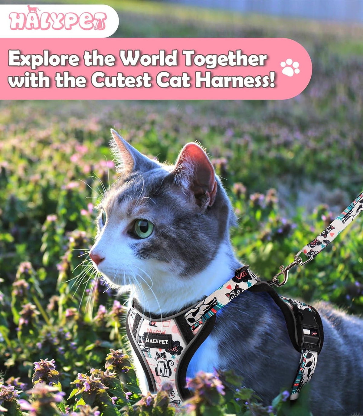 Cat Harness and Leash Set[MAX Safety 4th-Gen] Cute Escape Proof Vest - H603 Pro Inky Meowy / X-Small (4-6lb) - image 2