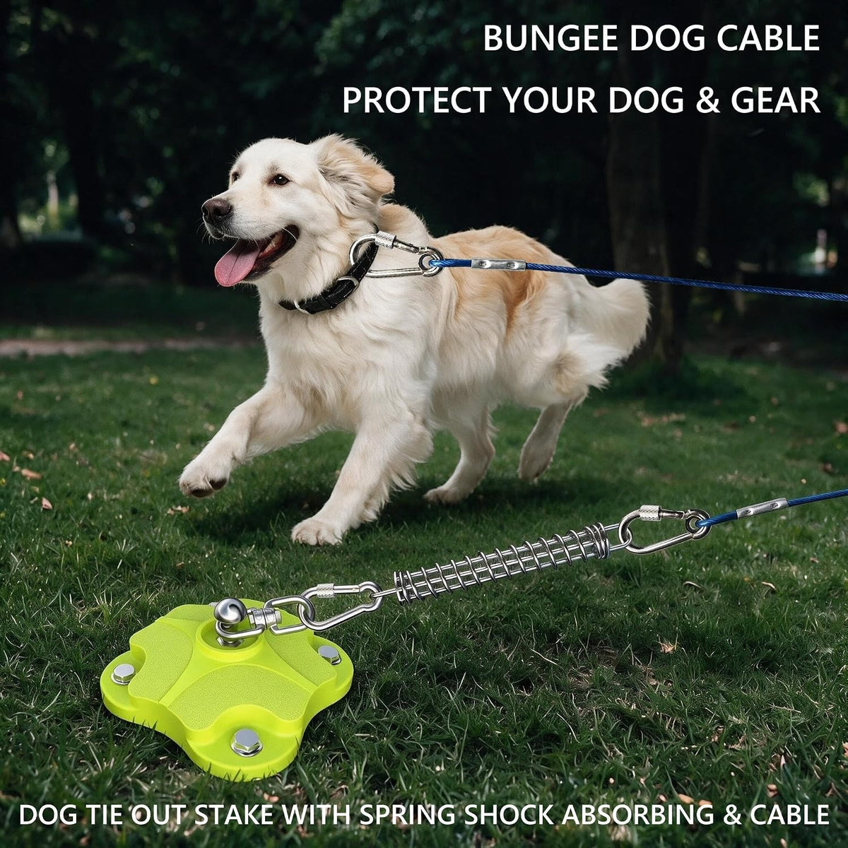 Heavy Duty Dog Tie Out Stake with 2x20FT Cables for Outdoor - Stake+Spring + 30ft Cable/250lbs - image 3