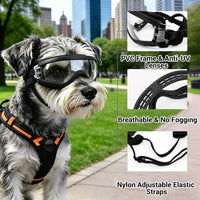 Dog Goggles for Small Breeds - Small / Clear - image 3