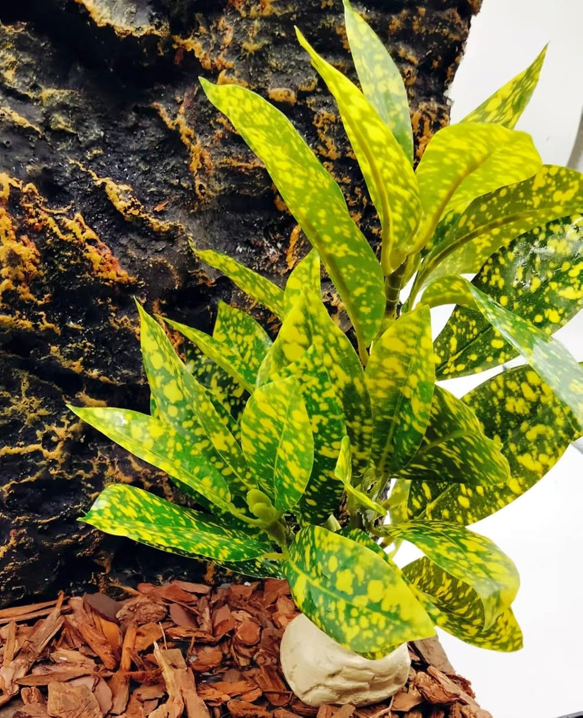 Reptile Plants Terrarium Decor, Reptile Tank Decorations - Golden - image 4