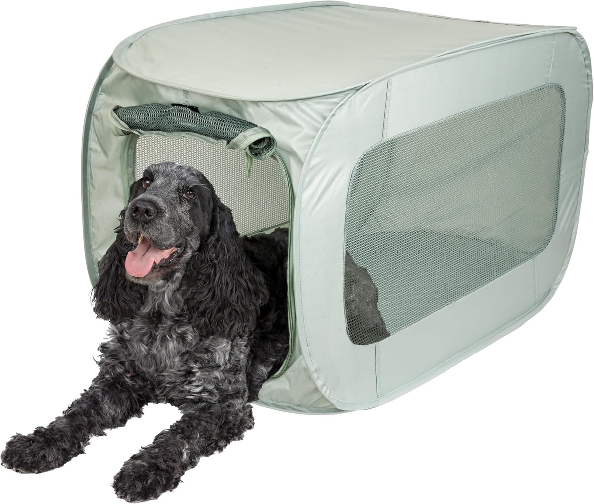 SportPet Designs Large Pop Open Kennel, Portable Cat Cage Kennel - Light Green