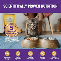 Wellness Complete Health Pate Adult Wet Cat Food, Natural, Protein-Rich, Grain-Free, 3 Ounce, 24 Pack, (Chicken & Herring)