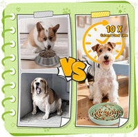 Dog Puzzle Feeder Set with Slow Feeder Bowl & Treat Ball – Essentials for Dogs - image 4