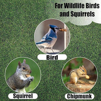 Old Potters Wildlife in-Shell Peanuts for Birds, Squirrels, and Wildlife. USA Grown Non-GMO Raw in-Shell Peanuts (in-Shell, 4 lbs)