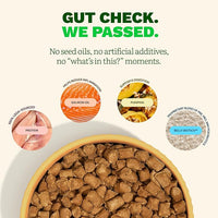 Get Joy Gut Health Fresh Freeze Dried Raw Meal, Chicken Recipe, 16 Ounce Bag, Dog Food for Dogs of All Breeds and Life Stages, PhD Animal Nutritionist Formulated, Made in USA