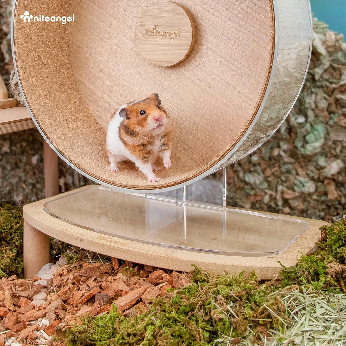 Niteangel Anti-Slide Hamster Wheel Platform: Medium Size & Elevates - Medium - image 4