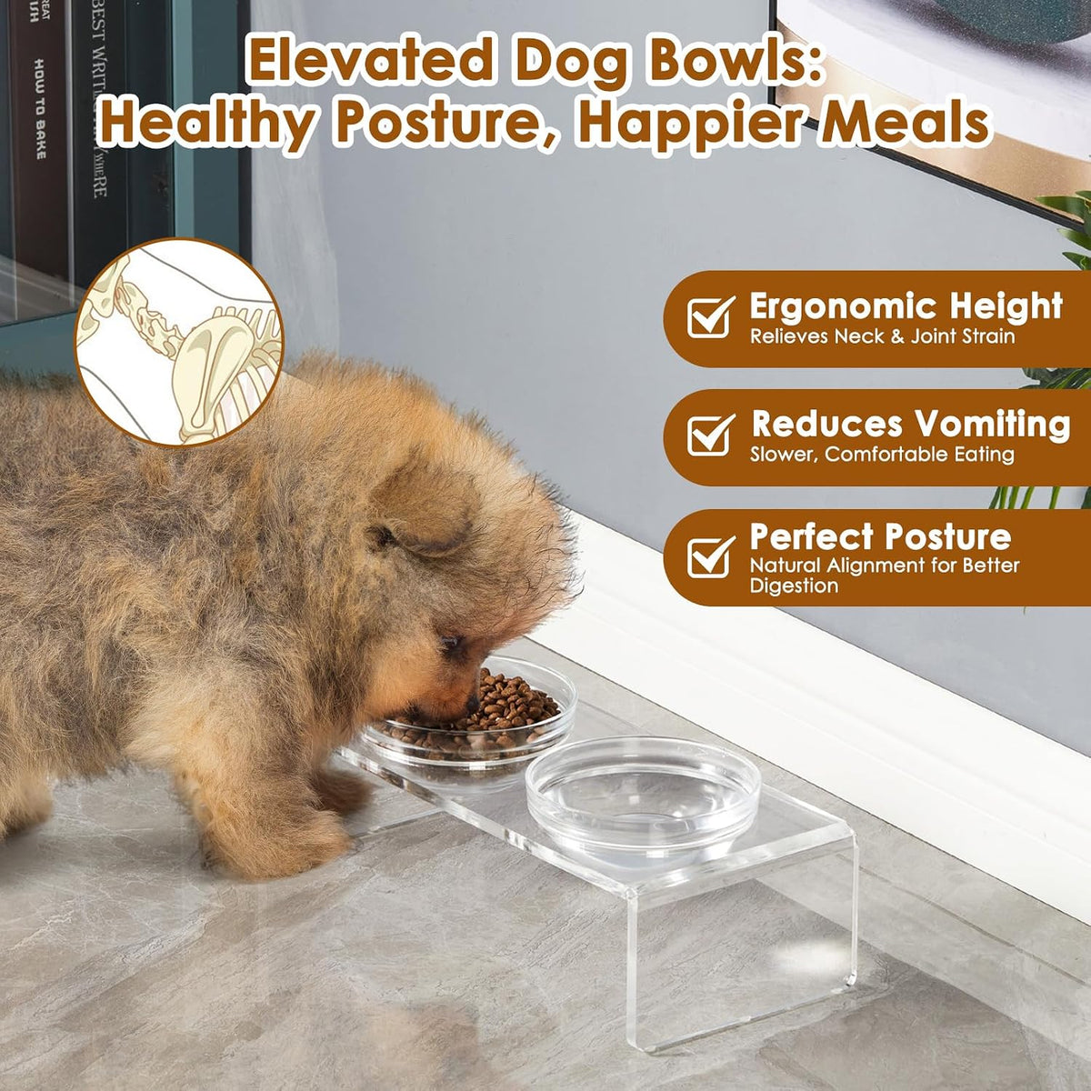 Acrylic Elevated Dog Cat Bowls Pet Feeder Double Bowl Raised Stand - Small: 3.75'' Height, 13.7 oz Glass Bowl - image 4