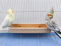 Bird Feeding Cups, Natural Wooden Parrot Perch Stand - 11.8 × 3.1 Inch - image 3
