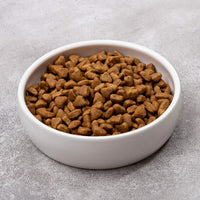 Ceramic Pet Bowl for Cats - image 3