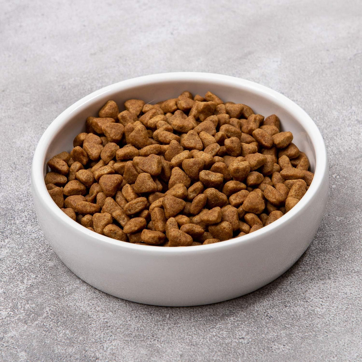 Ceramic Pet Bowl for Cats - image 3
