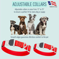 Dogline Biothane Waterproof Dog Collar with Herm Sprenger Stainless Steel Quick Release Buckle – Heavy Duty Tactical Durable Collar for Dogs – Comfortable and Safe Pet Collar, W 3/4" L 12-19", Red