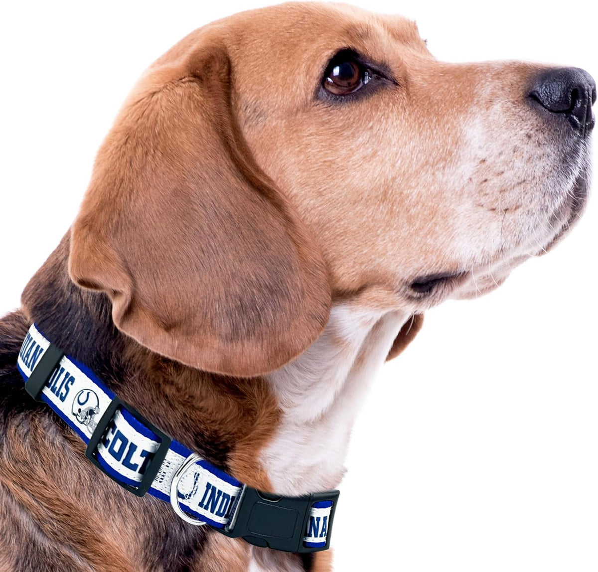 NFL Vikings Dog & Cat Collar - Indianapolis Colts / Large - image 3