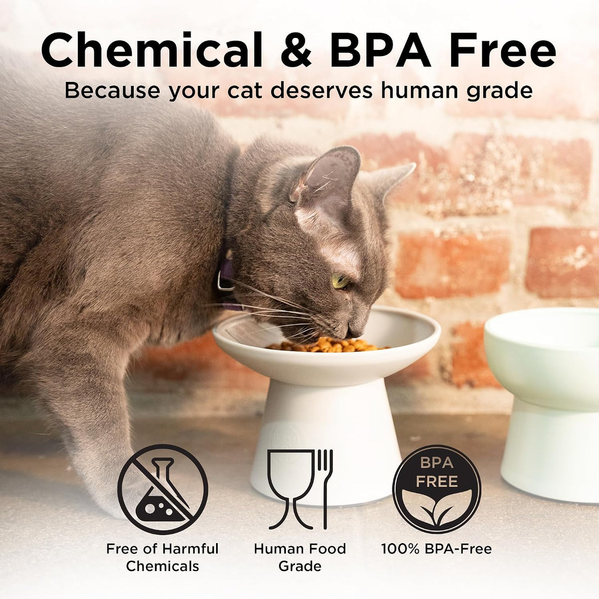 Necoichi BPA-Free Extra-Wide Elevated Cat Food Bowls - Gray and White (Classic) - image 3