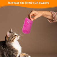Cat Toys for Indoor Cats, 5Ps Cats Fetch Toys, Fluffy Toys for Playing, Interactive Kitten Toys, Kitty Chew Teething Toys, Cat Chew Toy for Kittens (Multi Color, 5 Pack)