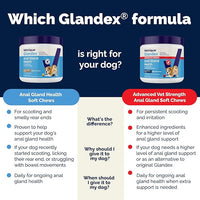 Vetnique Labs Glandex Anal Gland Soft Chew Treats with Pumpkin for Dogs Digestive Enzymes, Probiotics Fiber Supplement for Dogs Boot The Scoot (Bacon/Pork Chews, 120 Count)