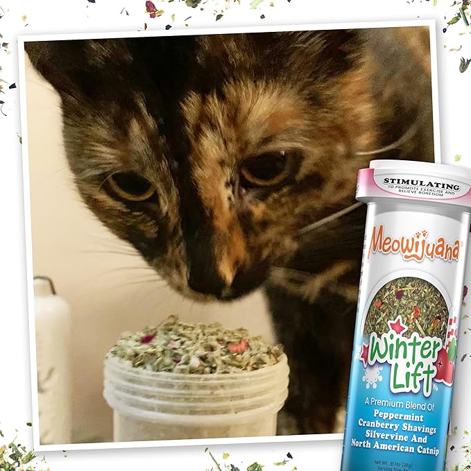 Meowijuana | Get Stuffed Bundle | Get Stuffed Stocking and Winter Lift | Promotes Play and Cat Health | Includes Organic Catnip | Feline and Cat Lover Approved
