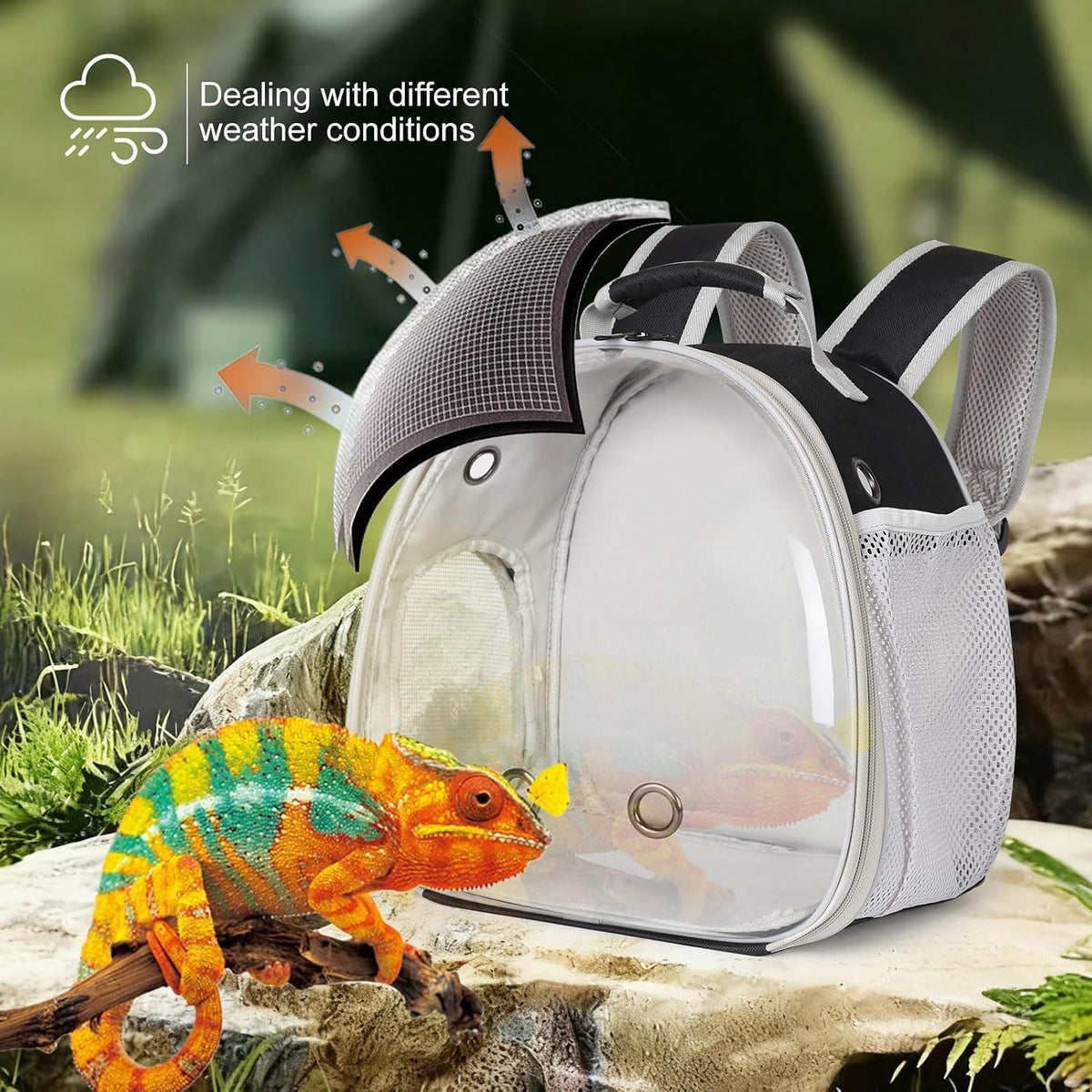 Bearded Dragon Travel Carrier Backpack, Lizard Backpack Carrier - Black / Backpack - image 4