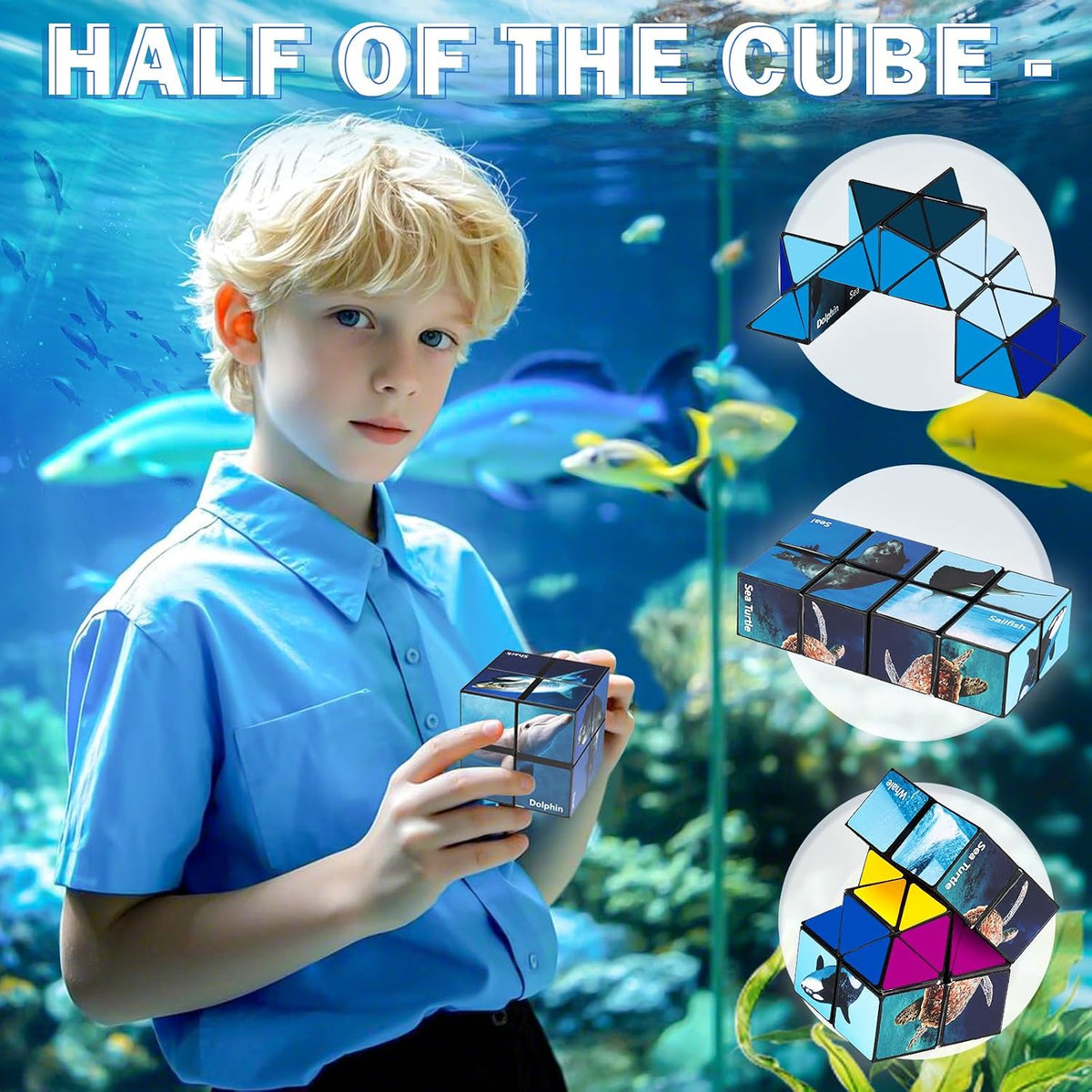 Euclidean Cube Fidget Toys for Kids 2 in 1 Star Cube Magic Cube - Ocean Series - image 3