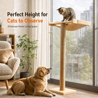 Cat Scratching Post with Large Window Perch - standard - image 4