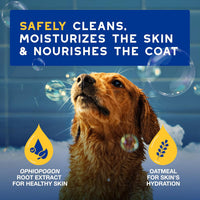 DOUXO SPA Oatmeal Dog Shampoo - image 3