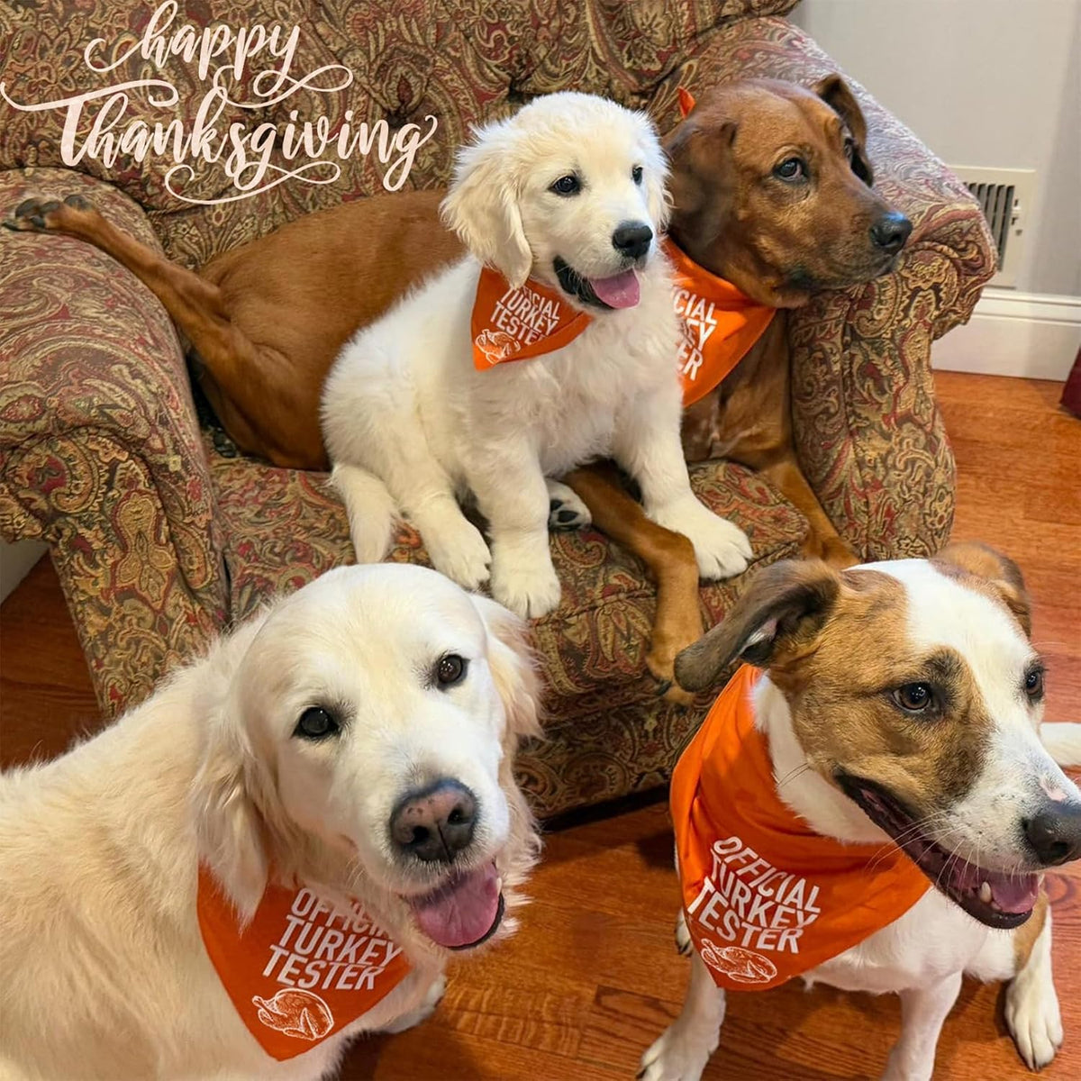 Fall Dog Bandana Artistic Sketch Maple Leaf Golden Orange - Turkey Tester / Medium - image 4