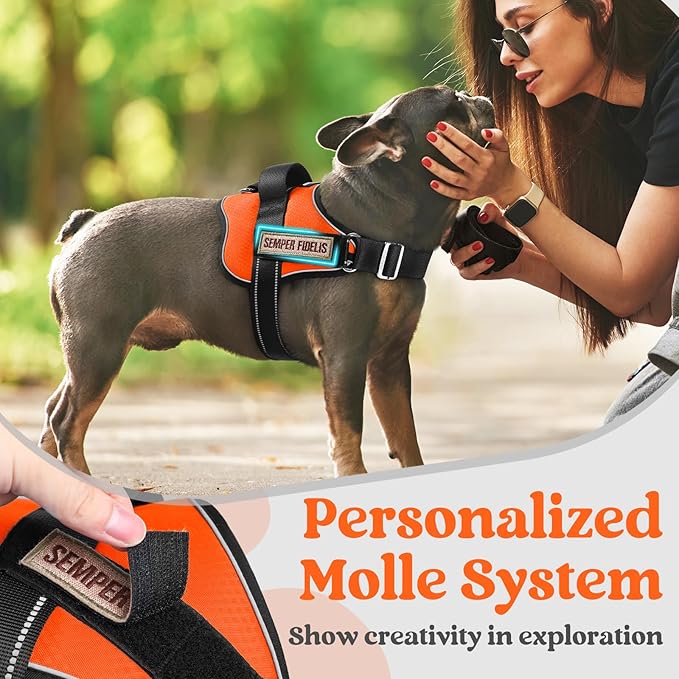rabbitgoo Dog Harness for Large, Easy On Pet Vest with One Buckle, No Pull Adjustable Service Harness with D-Ring & Handle, Reflective for Safety Walking, Training, Orange, L