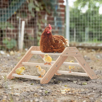 PETSFIT Baby Chick Roosting Bar, Anti-Rotation, Solid Wood - 19.7“L×14.4W×9.3"H / Basic - image 2