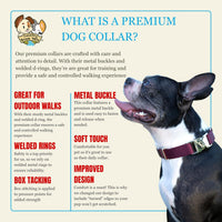 Country Brook Petz - Premium Nylon Dog Collar with Metal Buckle for Small Medium Large Breeds - 30+ - Small (Pack of 1) / Burgundy - image 4