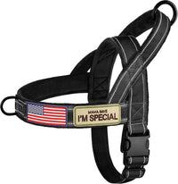 Forestpaw No Pull Dog Harness with Large Handle, Comfortable, L - XL: Chest 32-39", Fit 80-110 lbs / Black