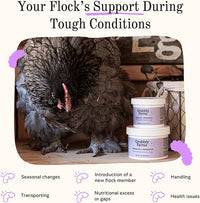 Grubbly Farms Prebiotics + Probiotics for Chickens (30 Day)