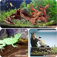 Natural Small Aquarium Driftwood for Fish Tanks & Reptile Terrariums – Safe Fish Tank Decorations, Unique Twisted Branches 10-Piece 2-4 Inch Low Tannin, Easy to Sink