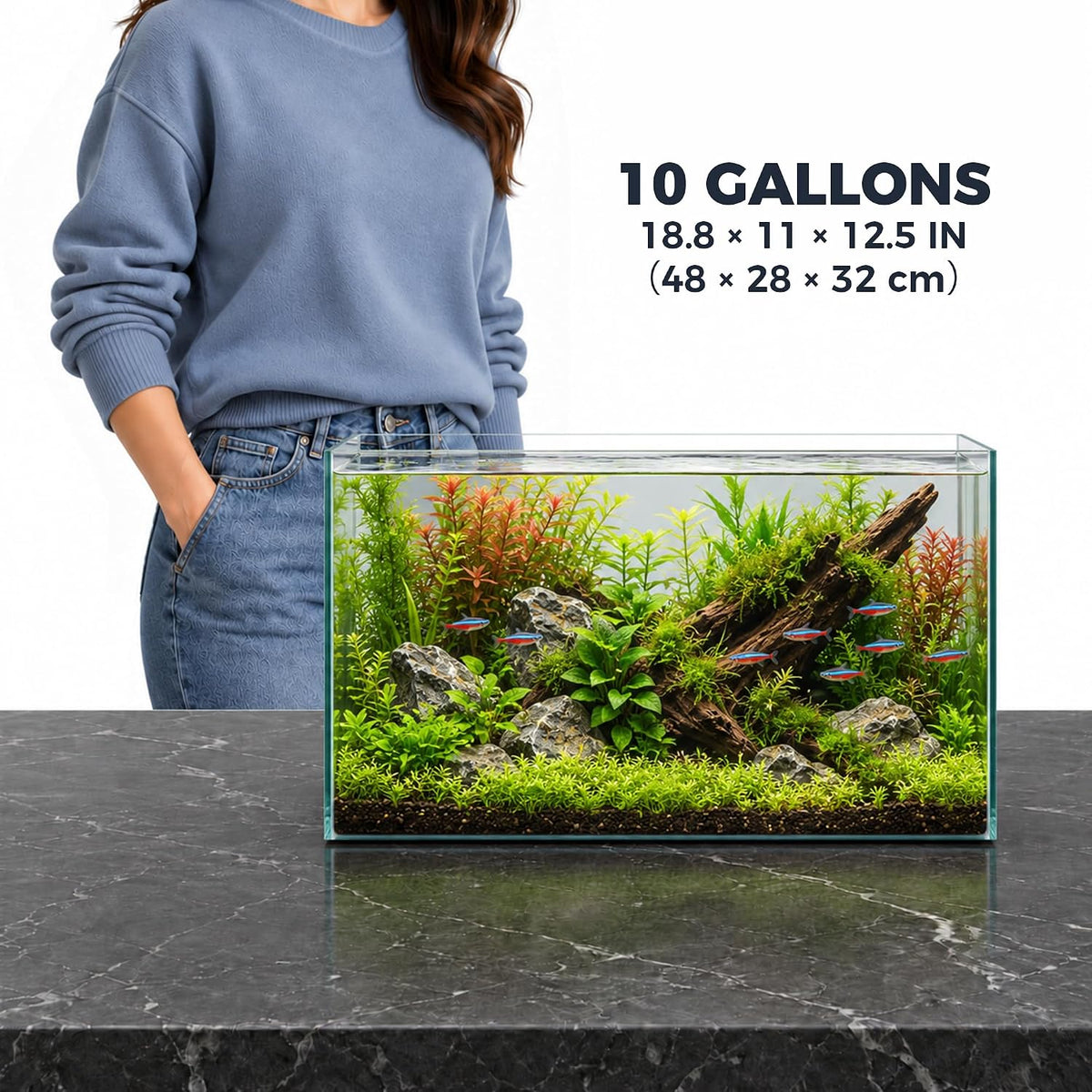 Low Iron Glass Ultra Clear Rimless Aquarium Tank - 10Gal 18.8"L×11"W×12.5"H - image 2