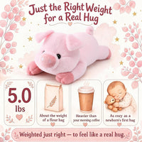 gnomantic Turtle Weighted Stuffed Animals, Plush Pillow for Kids – Fun for Kids & Family - Pink Pig / Large / Pig - image 3