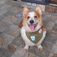 Premium Solid Olive Dog Bandana - Olive / Large - image 3