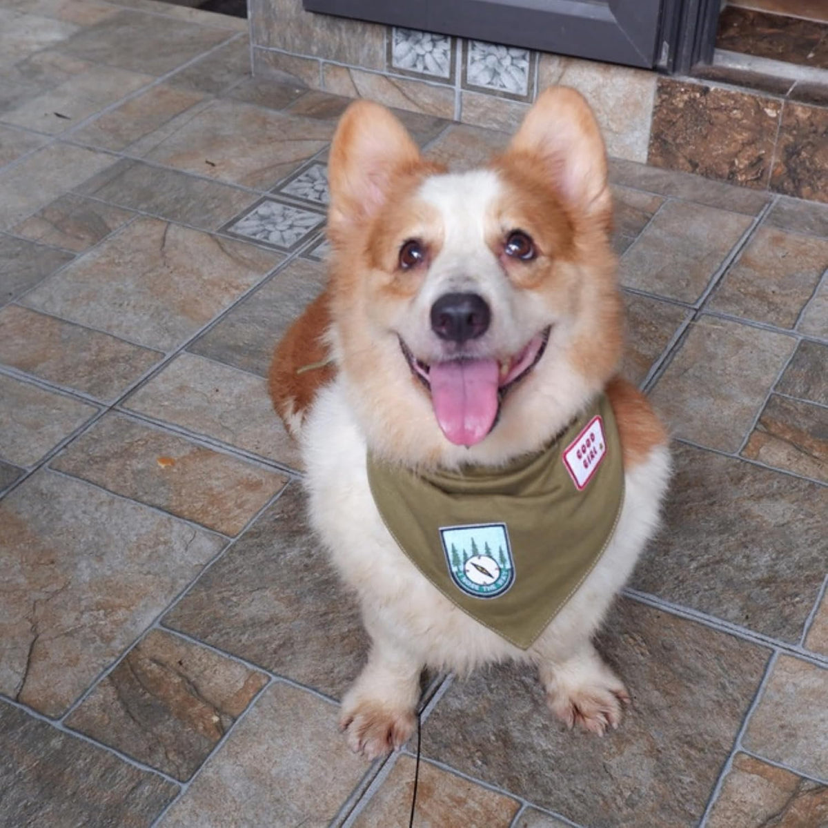 Premium Solid Olive Dog Bandana - Olive / Large - image 3
