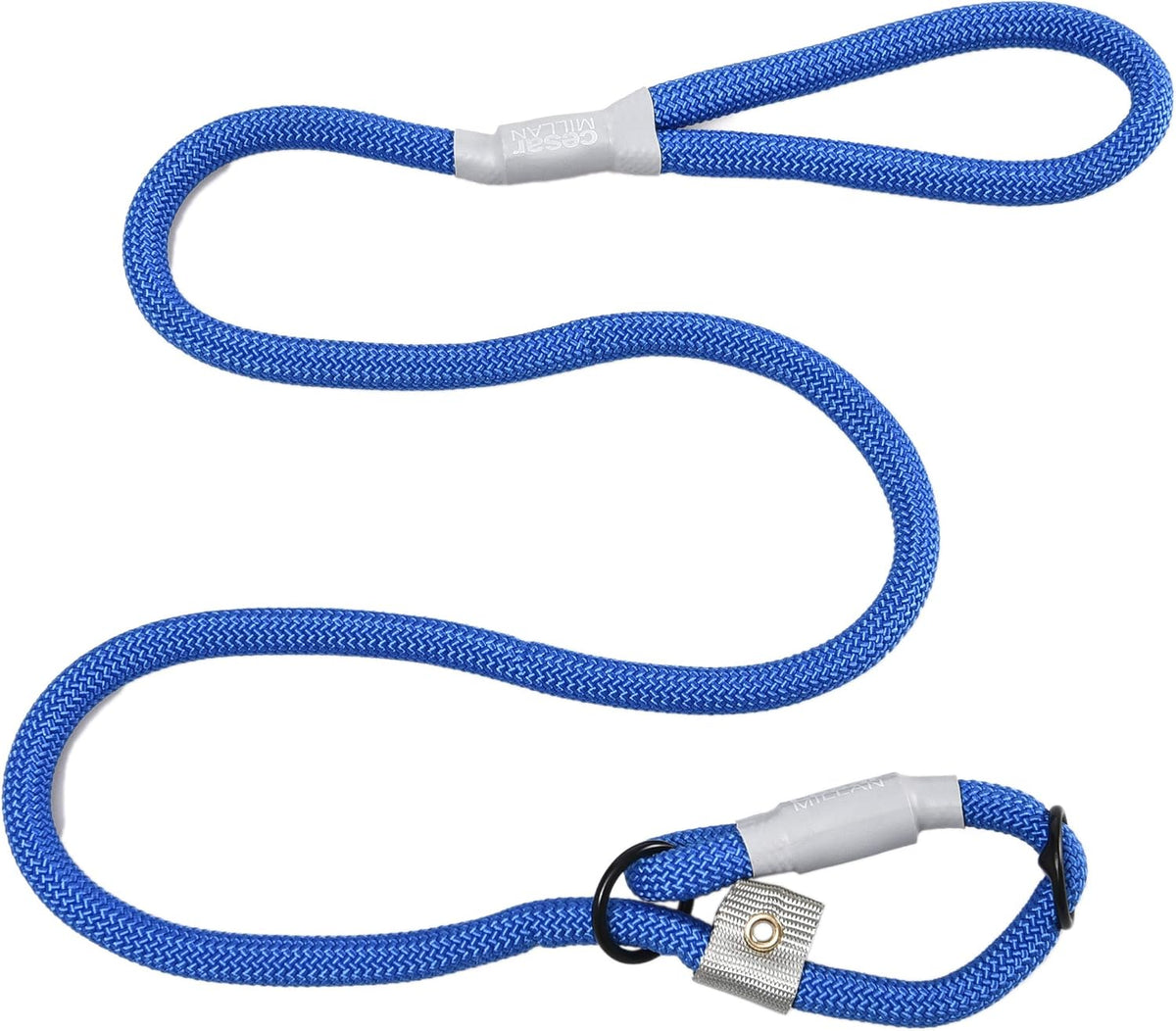Cesar Millan Slip Lead Leash, Dog Leash, in Training Leash - Regular / Blue