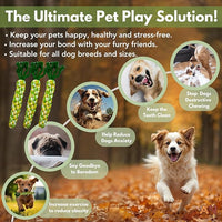 3PCS Rainbow Woven Pet Chew Set, Colorful Puppy Teething Chews, Dog Chew Toys, Cat Teething Playset, Soft & Safe Interactive Pet Chews
