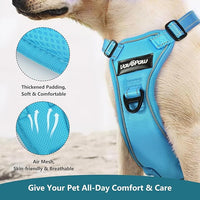 Dog Seat Belt Harness for Car, Dog Car Harness Adjustable Mesh Breathable & Dogs Seatbelt Safety Tether with Elastic Bungee for Small Medium Large Pets(Blue, S)