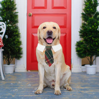 ADOGGYGO Fall Dog Neck Tie - Large / Green - image 3