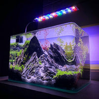 14-16 Inches Natural Seiryu Stone 2 PCS Ultra Large Aquarium Rocks for Aquascaping, Aquarium Landscaping, Terrariums, Fish Tank Decoration, Vivariums, Paludarium, Amphibian Enclosures