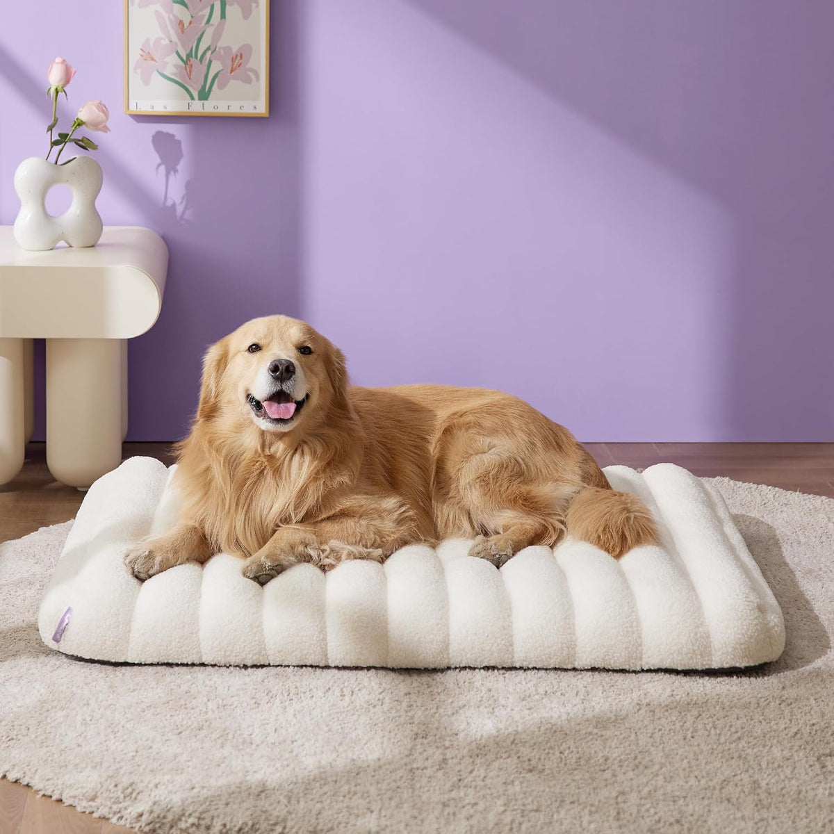 LE SURE Cute Orthopedic Dog Bed Large Sized Dog, Flat Pet Mat - 44"L x 32"W x 4"Th / Cream