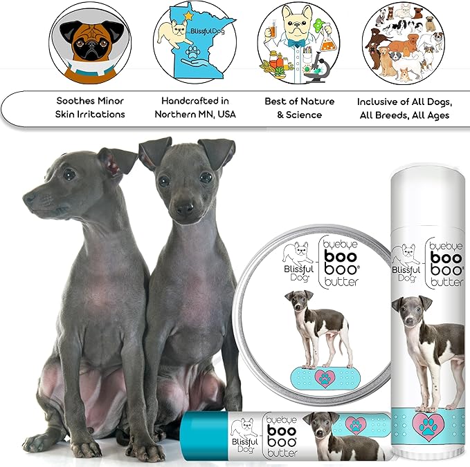 The Blissful Dog Italian Greyhound Boo Boo Butter, 4-Ounce