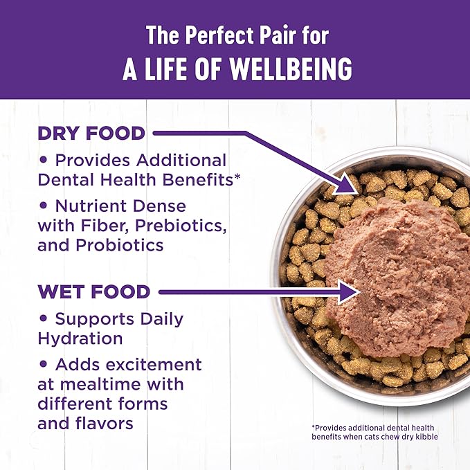 Wellness Complete Health Pate Adult Wet Cat Food, Natural, Protein-Rich, Grain Free, 3 Ounce, 24 Pack, (Turkey & Salmon)